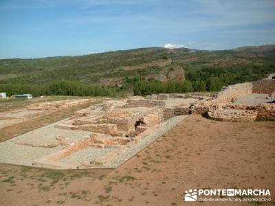 Yacimiento Arqueológico Celtibérico y Romano de Tiermes; rutas faciles senderismo madrid; floracio